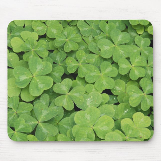 View of Oxalis Oregana wood Sorrel Foliage Mouse Pad (Front)