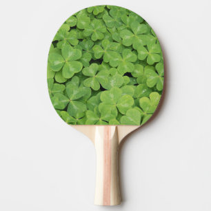 View of Oxalis Oregana wood Sorrel Foliage Ping Pong Paddle