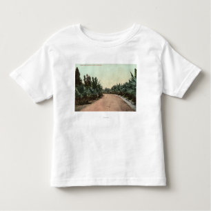 View of Palm Drive Toddler T-Shirt
