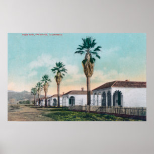 View of Palm RowCalistoga, CA Poster
