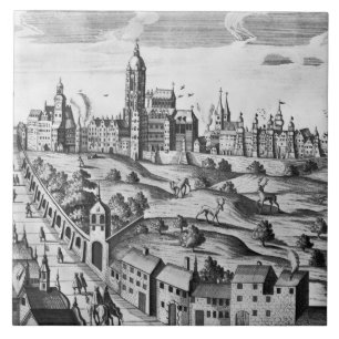 View of Prague showing the Imperial Palace and the Tile