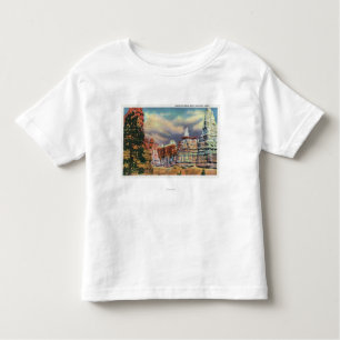 View of Queen Victoria Rock Formation Toddler T-Shirt