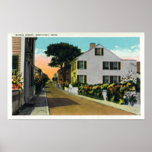 View of Quince Street Poster