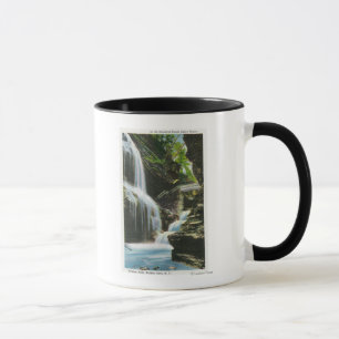 View of Rainbow Falls 2 Mug