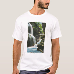 View of Rainbow Falls T-Shirt