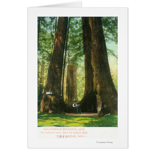 View of Redwood Twins at Big Tree Grove (Front)