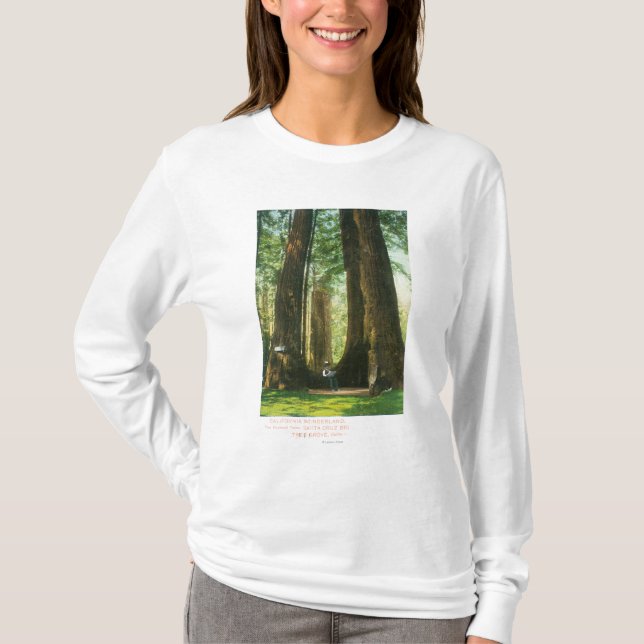 View of Redwood Twins at Big Tree Grove T-Shirt (Front)