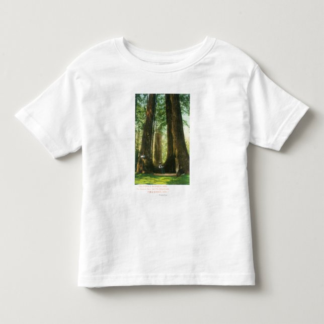 View of Redwood Twins at Big Tree Grove Toddler T-Shirt (Front)