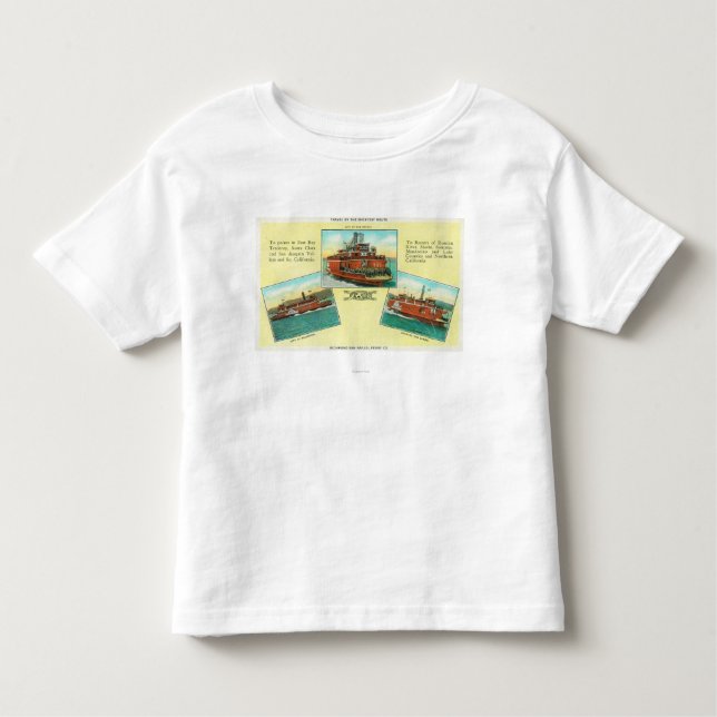 View of Richmond-San Rafael Ferries Toddler T-Shirt (Front)