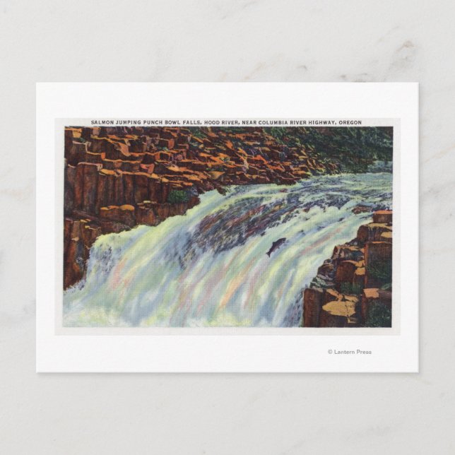 View of Salmon Jumping Punch Bowl Falls Postcard (Front)