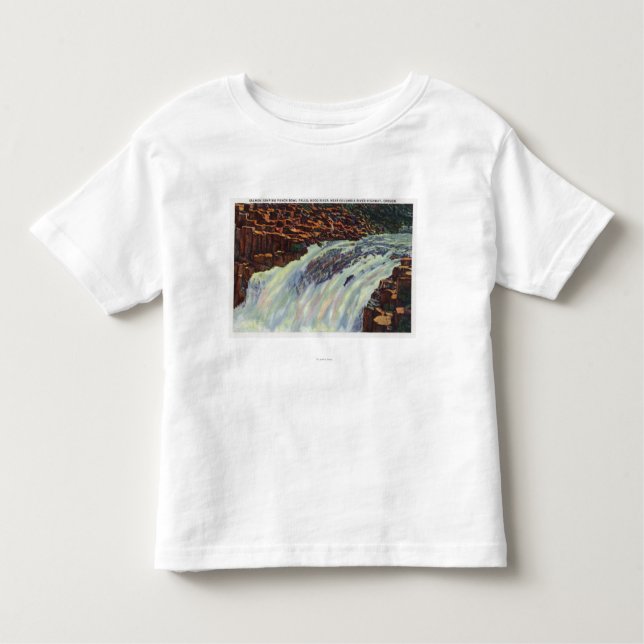 View of Salmon Jumping Punch Bowl Falls Toddler T-Shirt (Front)