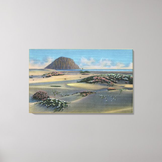 View of Sand Dunes Alongside the Coast Canvas Print (Front)