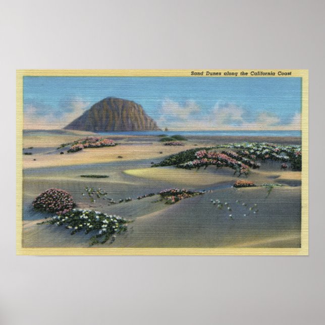 View of Sand Dunes Alongside the Coast Poster (Front)
