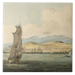 View of Santa Cruz, plate 3 from 'A Voyage to Coch Tile