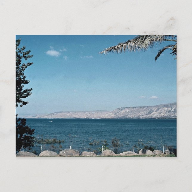 View of Sea of Galilee from south shore, Israel Postcard (Front)