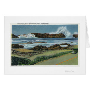 View of Seal Rock in between Waldport and