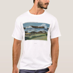 View of Seal Rock in between Waldport and T-Shirt