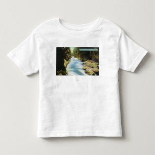 View of Seymour Canyon Toddler T-Shirt