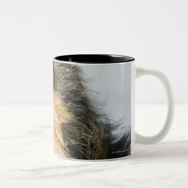 View of shetland sheepdog Two-Tone coffee mug (Right)