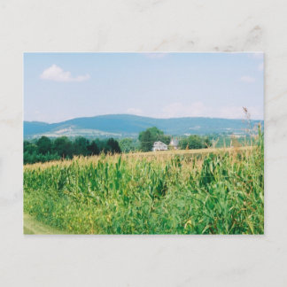 View of South Mountain, Turner's Gap Postcard