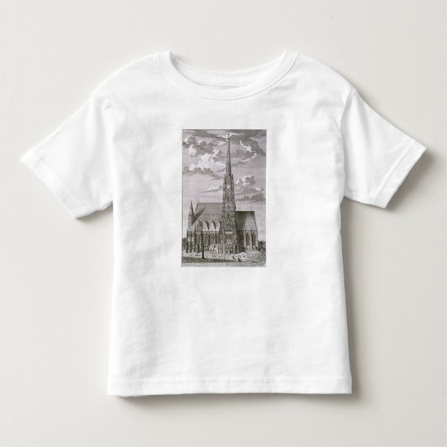 View of St. Stephan's Cathedral Toddler T-Shirt (Front)