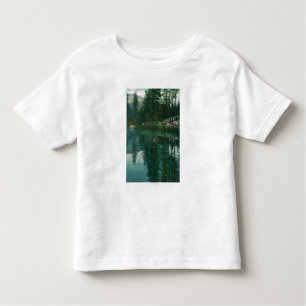 View of Stella LakeWawona, CA Toddler T-Shirt
