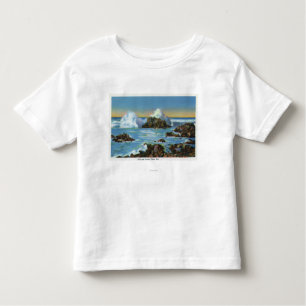 View of Surf Along the Rock Toddler T-Shirt