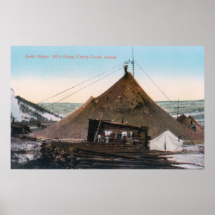 View of Swift Water Bill's Dump Poster
