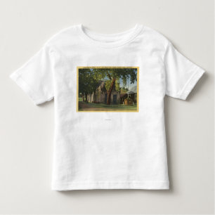 View of the Adams Express Office Toddler T-Shirt