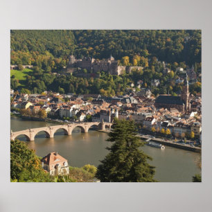 View of the Alte Brucke or Old Bridge Poster