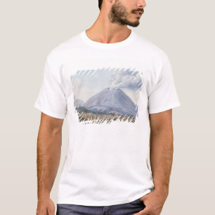 View of the Atrio di Cavallo between Somma and Ves T-Shirt