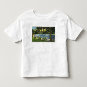 View of the Boston Common Frog Pond Toddler T-Shirt