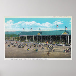 View of the Bucking Contests Poster