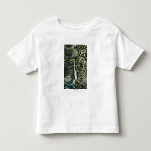 View of the Central Cascade Toddler T-Shirt