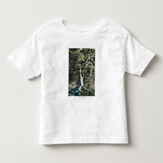 View of the Central Cascade Toddler T-Shirt (Front)