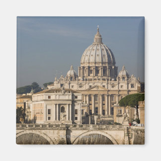 View of the dome of St Peter's Basilica with Magnet