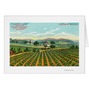 View of the Giersberg VineyardNapa, CA