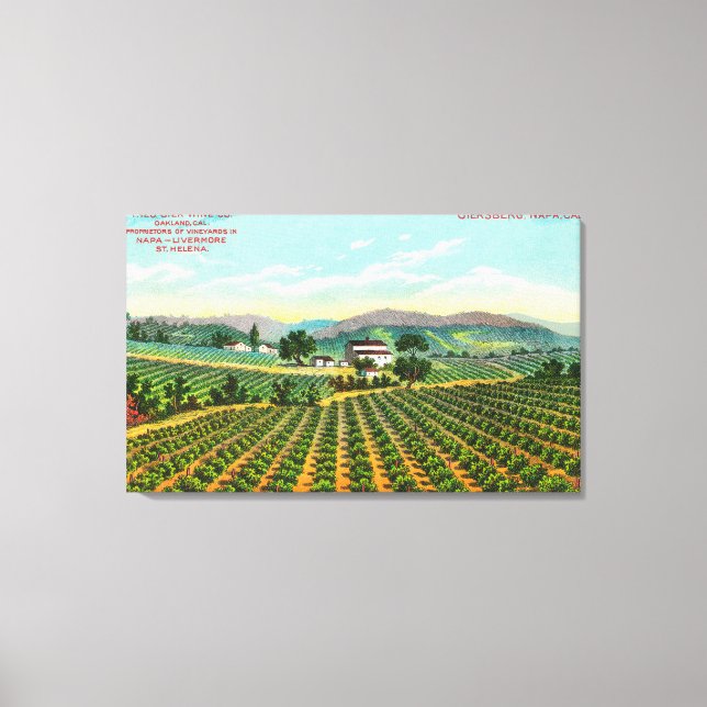 View of the Giersberg VineyardNapa, CA Canvas Print (Front)