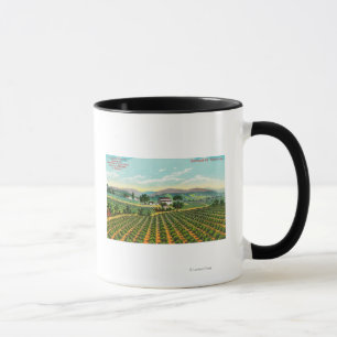 View of the Giersberg VineyardNapa, CA Mug