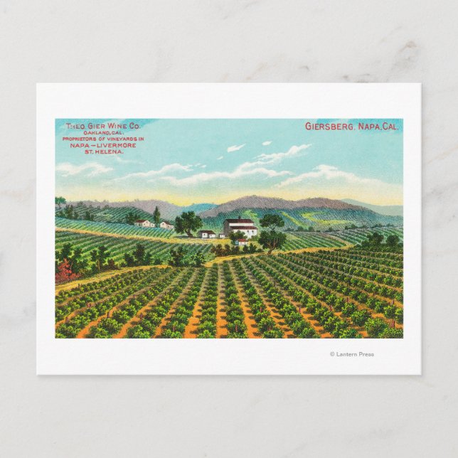 View of the Giersberg VineyardNapa, CA Postcard (Front)