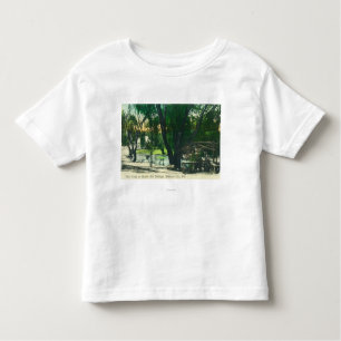 View of the Hot Springs Pond Toddler T-Shirt