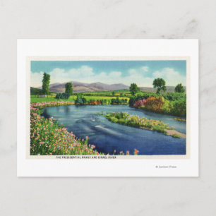 View of the Israel River & the Presidential Rang Postcard