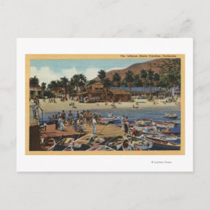 View of the Isthmus Harbour w/ Swimmers Postcard