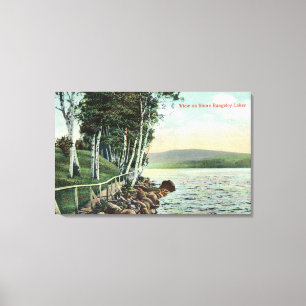 View of the Lake Shore Canvas Print