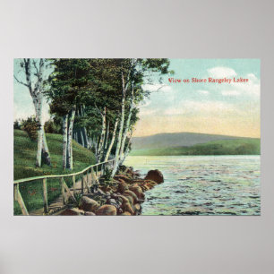 View of the Lake Shore Poster