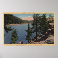 View of the Lake through the Pines