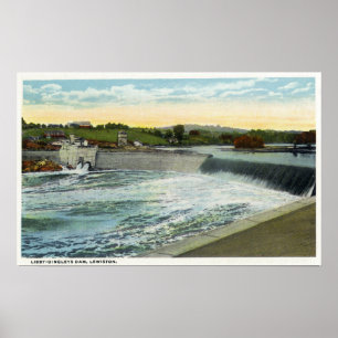 View of the Libby-Dingleys Dam Poster