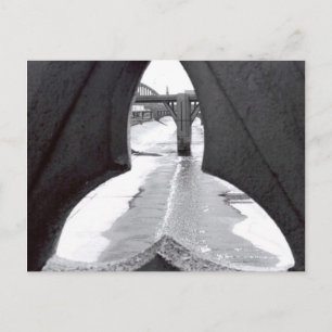 View of the Los Angeles River Postcard