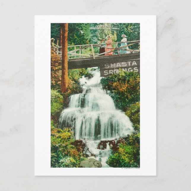 View of the Lower FallsShasta Springs, CA Postcard (Front)