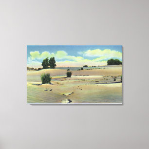 View of the Maine Desert Canvas Print
